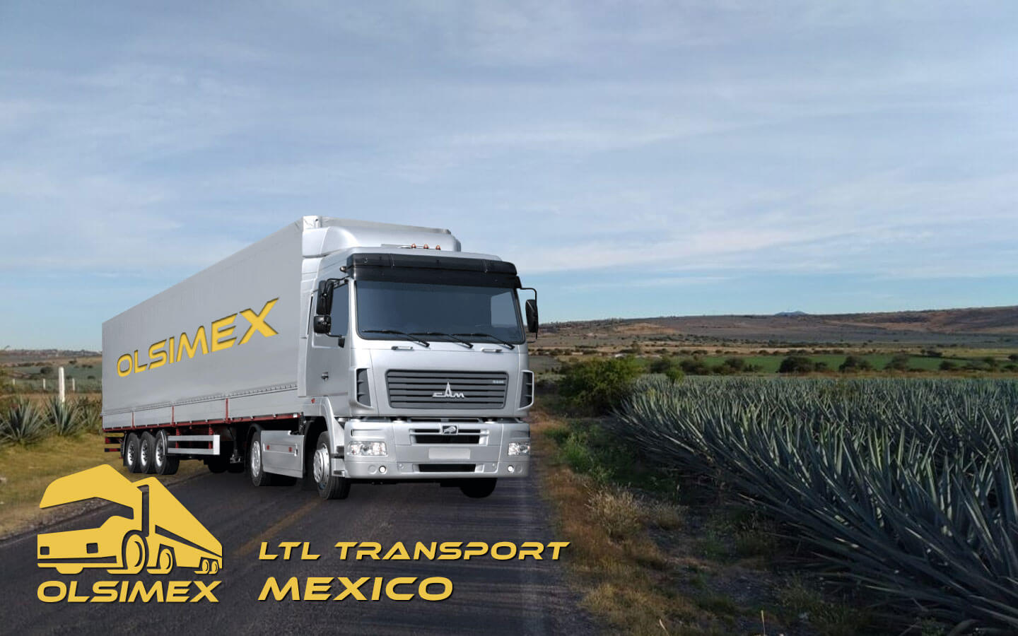 LTL Transport Mexico LTL Transport Mexico