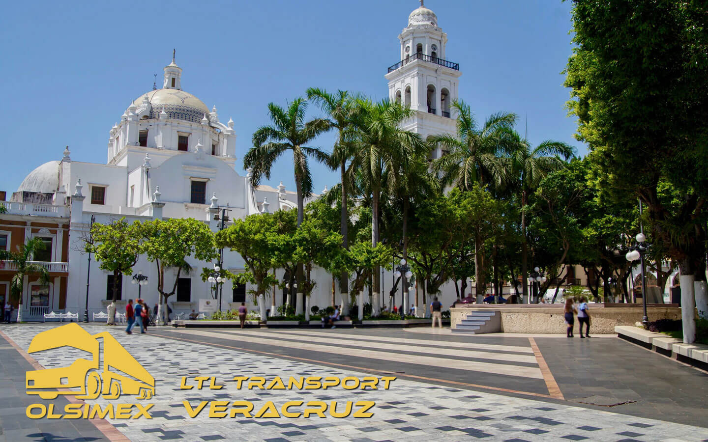 LTL Transport Veracruz