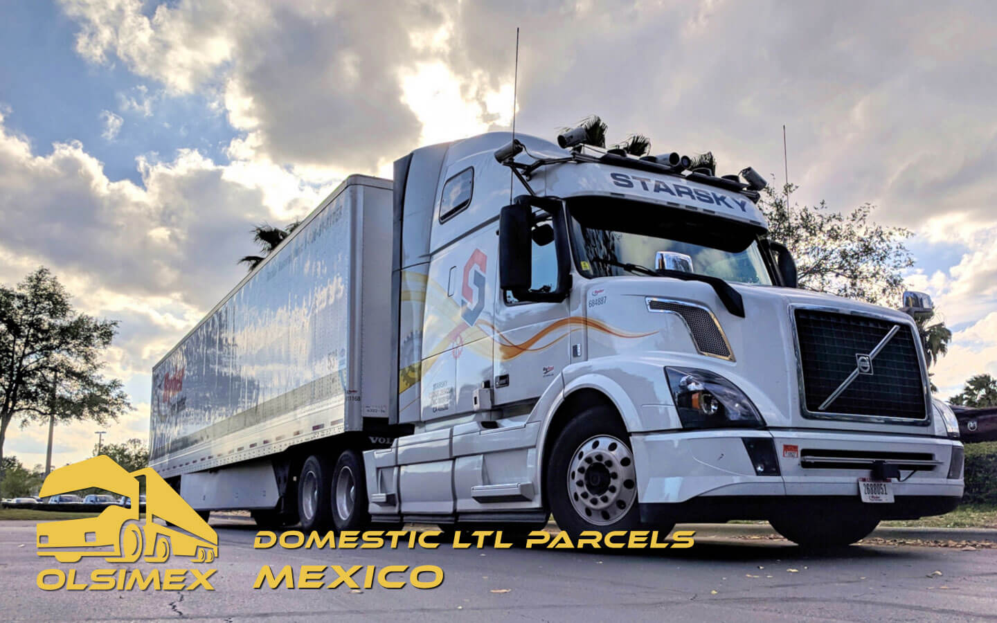 Domestic LTL Parcels Mexico