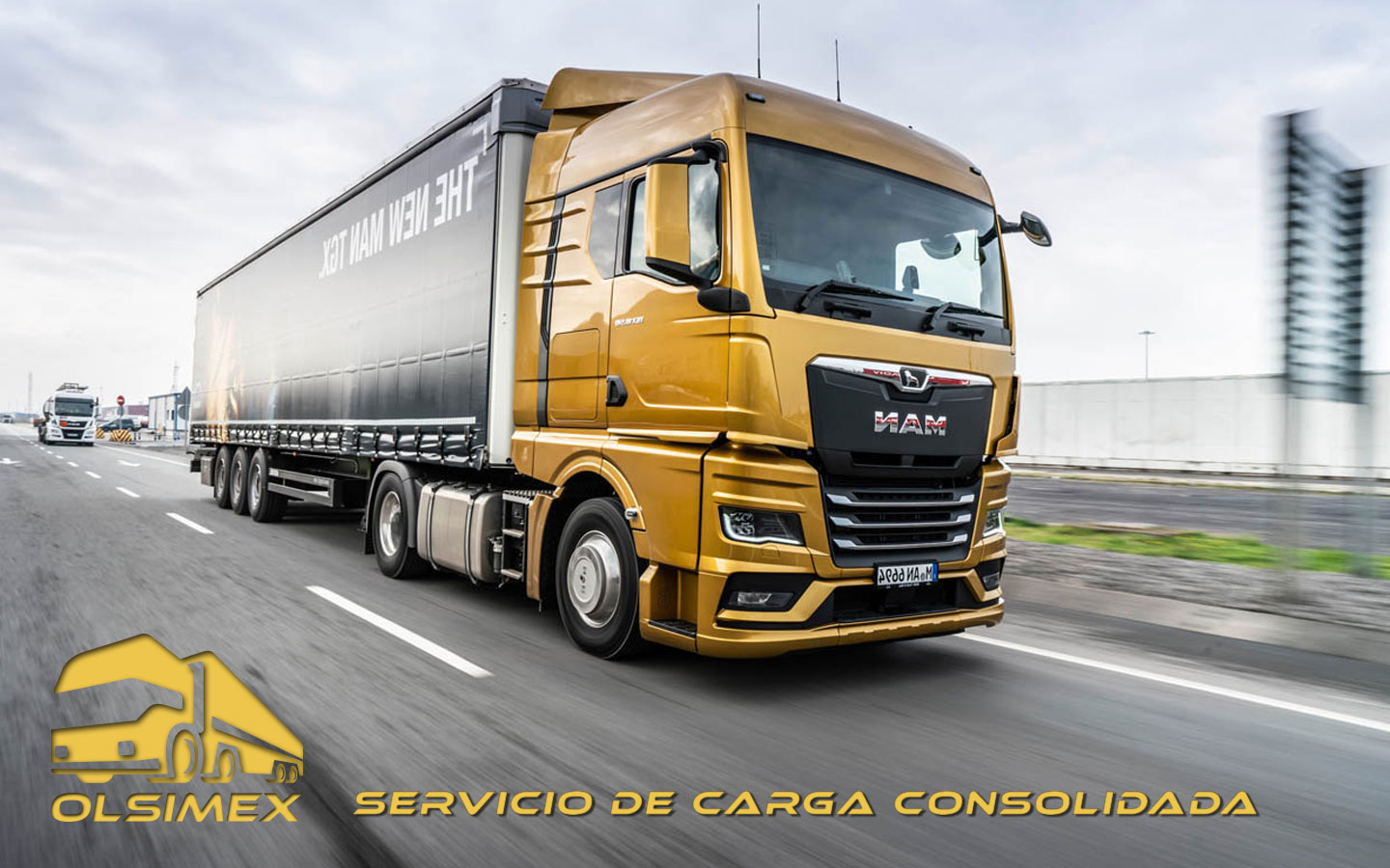 Servicio de Carga Consolidada